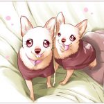 おひざのぽぽちゃん