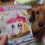 『赤プリン』復刊投票のお願い